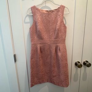 Tahari Champagne Pink Dress | 8P